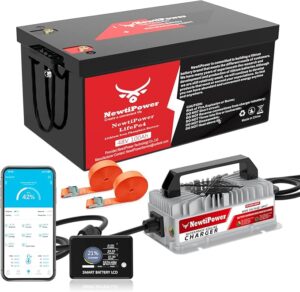 12. NewtiPower 48V Lithium Battery for Golf Cart