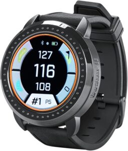 5. Bushnell iON Elite Golf GPS Watch