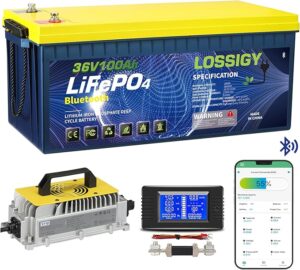 5. LOSSIGY 36V Lithium Battery for Golf Cart