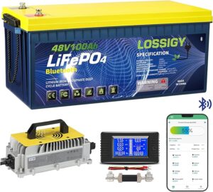8. LOSSIGY 48V Lithium Battery for Golf Cart