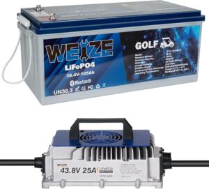 9. WEIZE 36V Lithium Battery for Golf Cart
