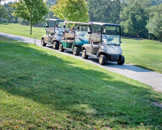 Golf Cart Weight by Type and Brand (Examples)