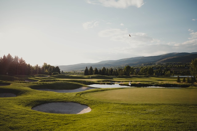 How to Score a Birdie?